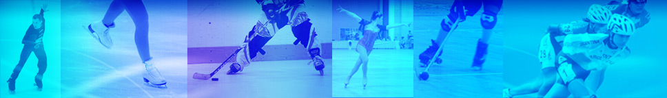 Patin Vision